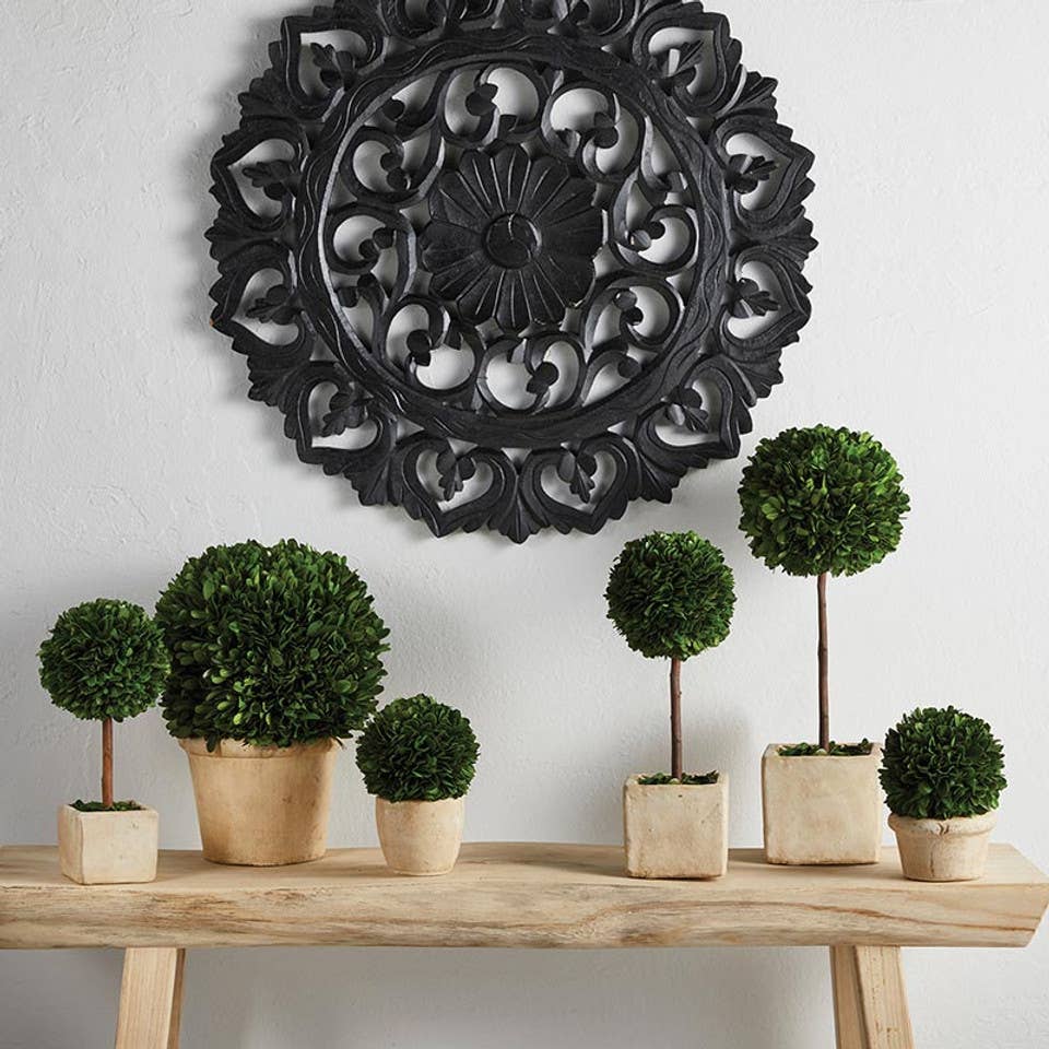 Topiary Square Boxwood - Small
