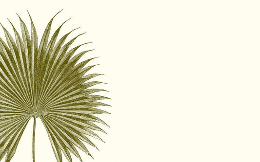 Palm Place Card Set of 10