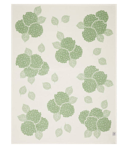 Hydrangeas Sage Blanket