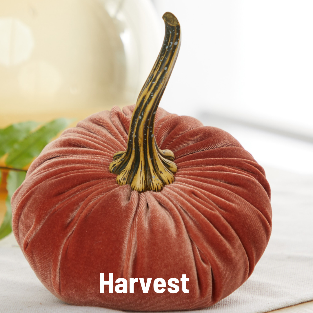 Pumpkin Large Velvet, Fall Mantel Decor, Halloween Table: Leopard