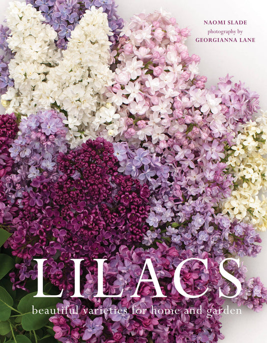 Lilacs: Beautiful Varieties for Home & Garden Book