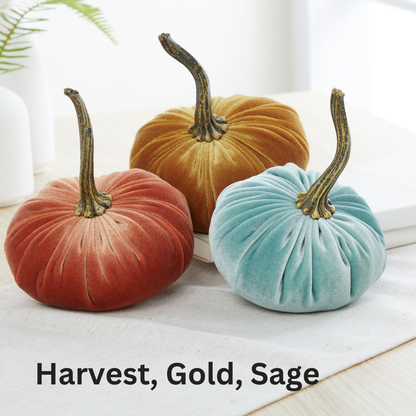Pumpkin Small Velvet, Valentine's mantel, Autumn table, Gift: Fern