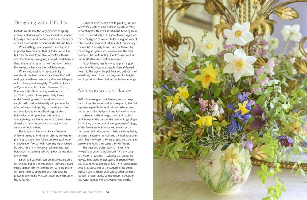 Daffodils: Beautiful Varieties for Home and Garden Book