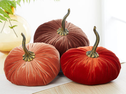 Pumpkin Extra Large Velvet, Harvest