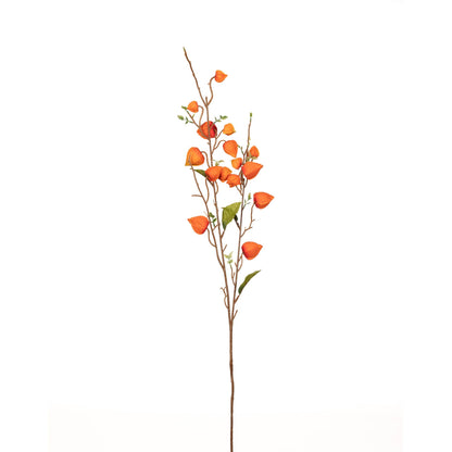 Japanese Lantern Stem - 34 Inch