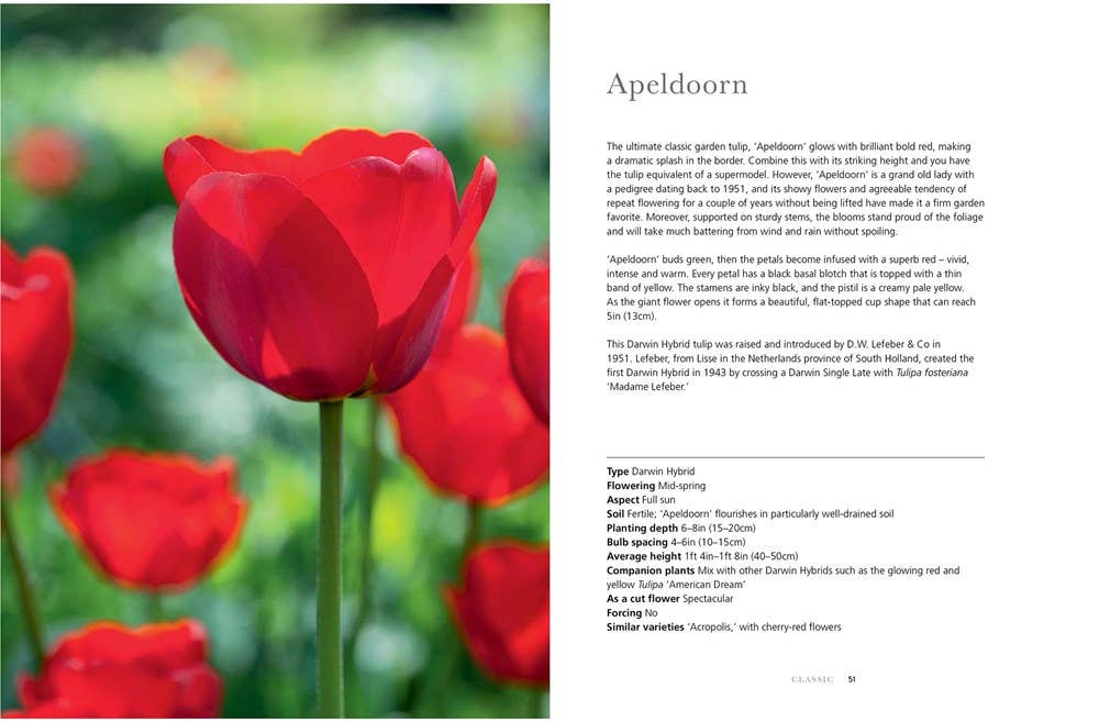 Tulips: Beautiful Varieties for Home and Garden Book