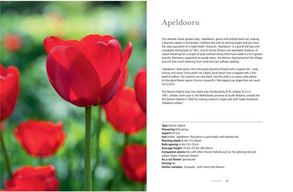 Tulips: Beautiful Varieties for Home and Garden Book