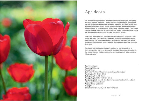 Tulips: Beautiful Varieties for Home and Garden Book