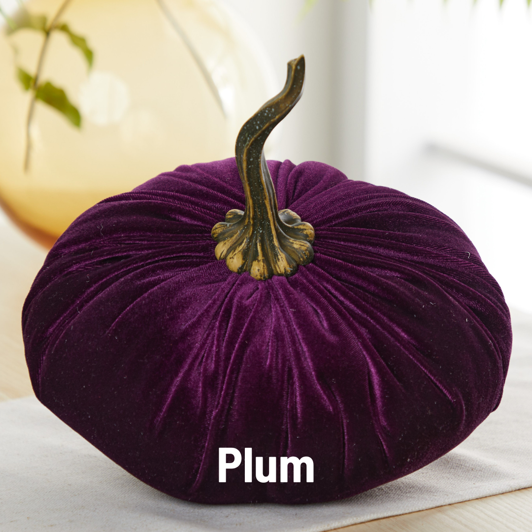 Pumpkin Extra Large Velvet, Fall Accent, Thoughtful Gift: Pink