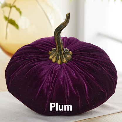 Pumpkin Extra Large Velvet, Fall Accent, Thoughtful Gift: Olive