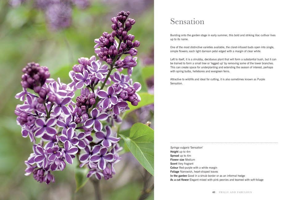 Lilacs: Beautiful Varieties for Home & Garden Book