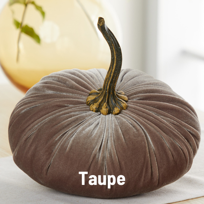 Pumpkin Extra Large Velvet, Fall Accent, Thoughtful Gift: Taupe