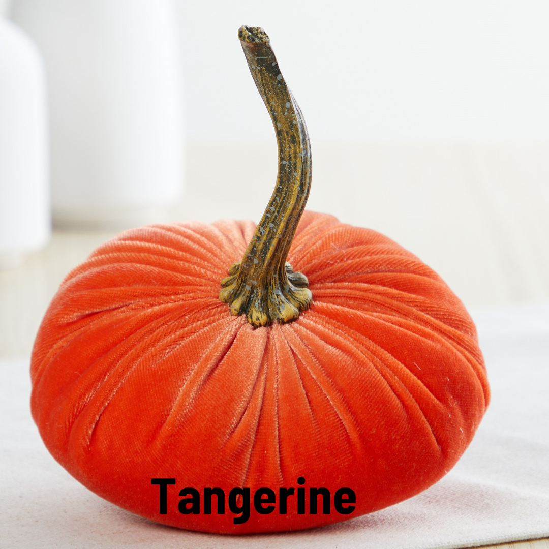 Pumpkin Small Velvet, Valentine's mantel, Autumn table, Gift: Tangerine
