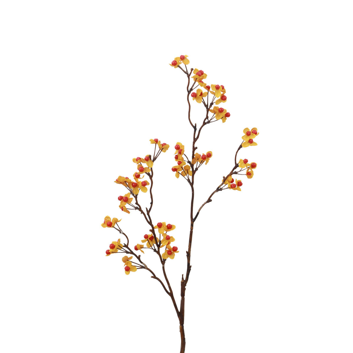 Bittersweet Spray - 24 Inch