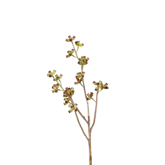 Eucalyptus Pod Stem 28 Inch