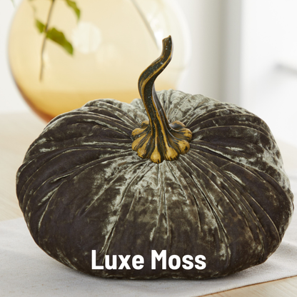 Pumpkin Extra Large Velvet, Fall Accent, Thoughtful Gift: Pink