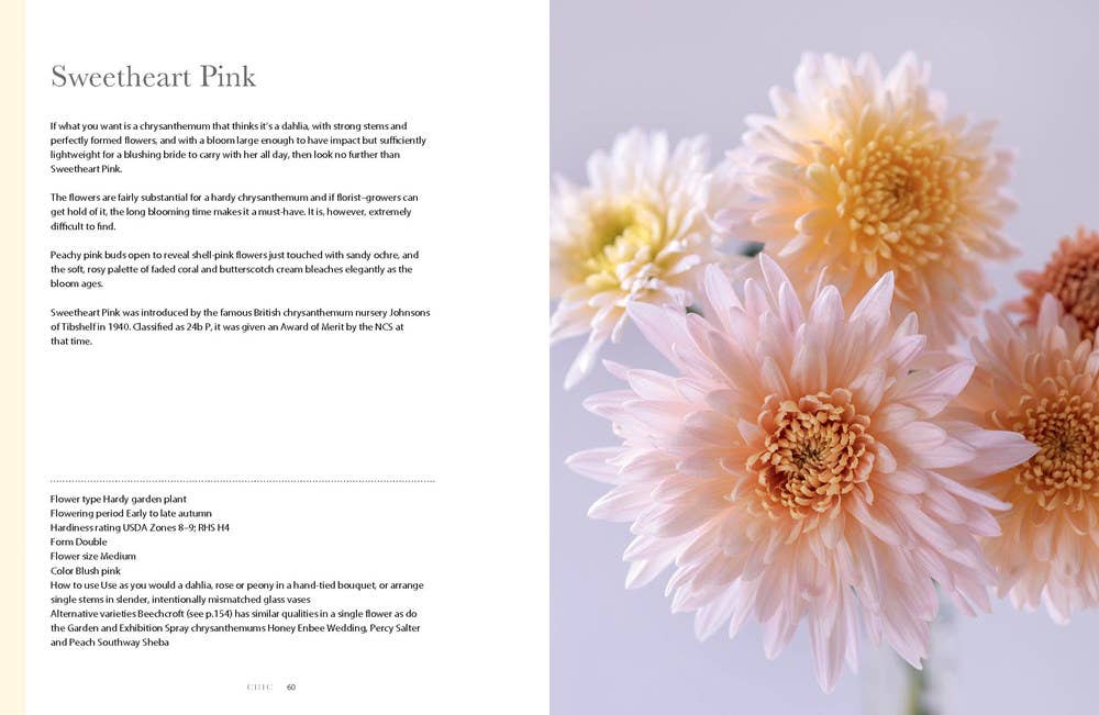 Chrysanthemums : Beautiful Varieties for Home and Garden Book