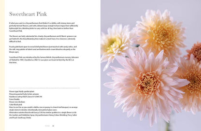 Chrysanthemums : Beautiful Varieties for Home and Garden Book