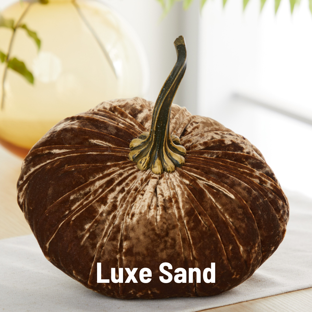 Pumpkin Extra Large Velvet, Fall Accent, Thoughtful Gift: Olive