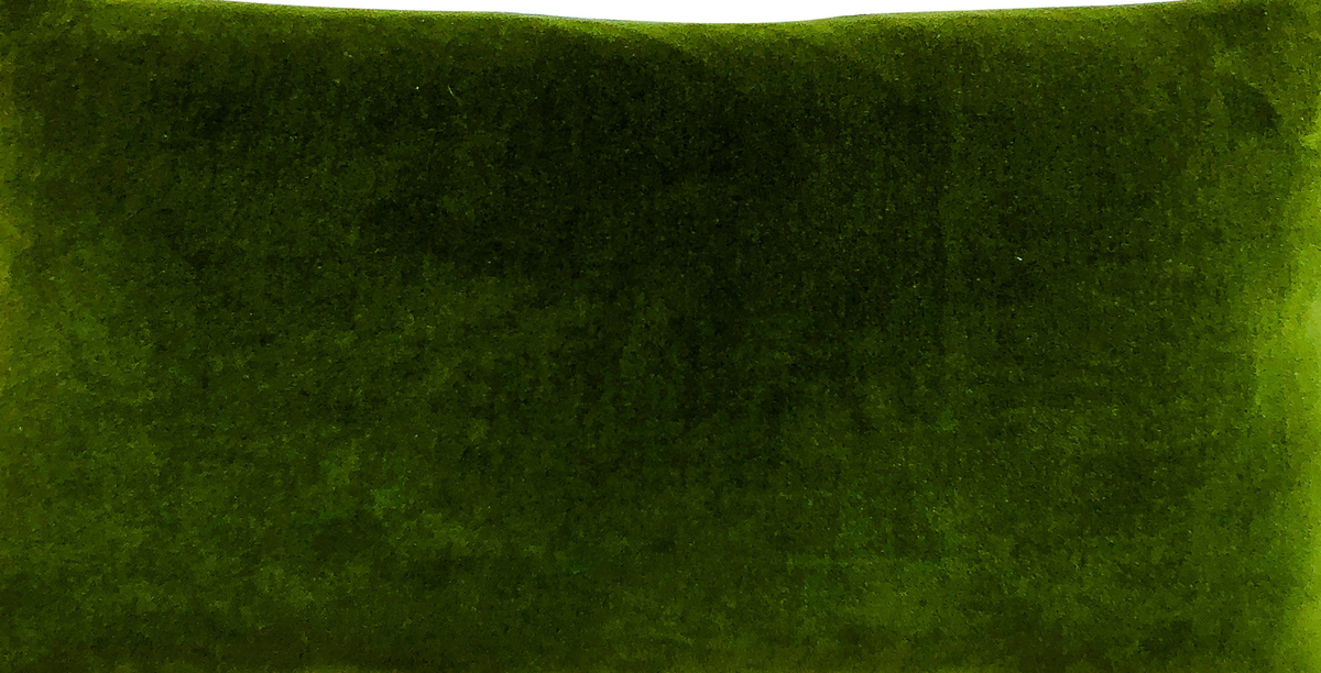 Velvet Clutch: Navy