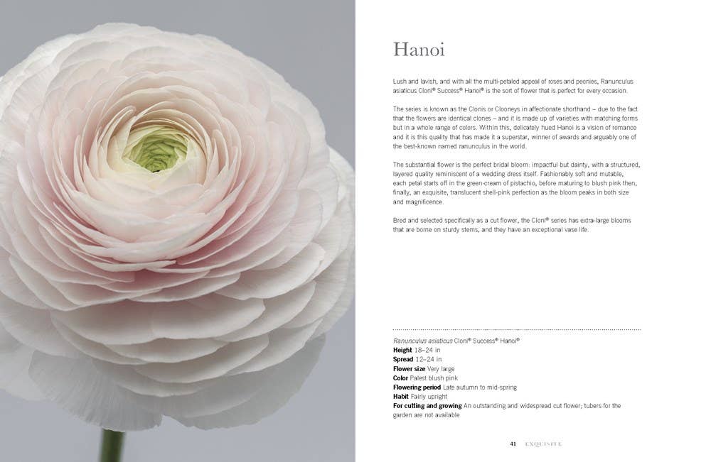 Ranunculus: Beautiful varieties for Home and Garden Book