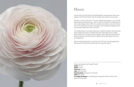 Ranunculus: Beautiful varieties for Home and Garden Book