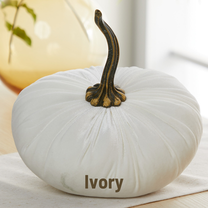 Pumpkin Extra Large Velvet, Fall Accent, Thoughtful Gift: Pink