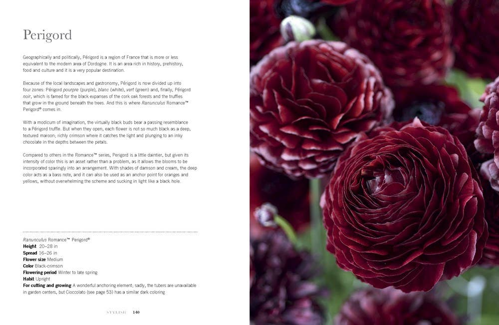 Ranunculus: Beautiful varieties for Home and Garden Book