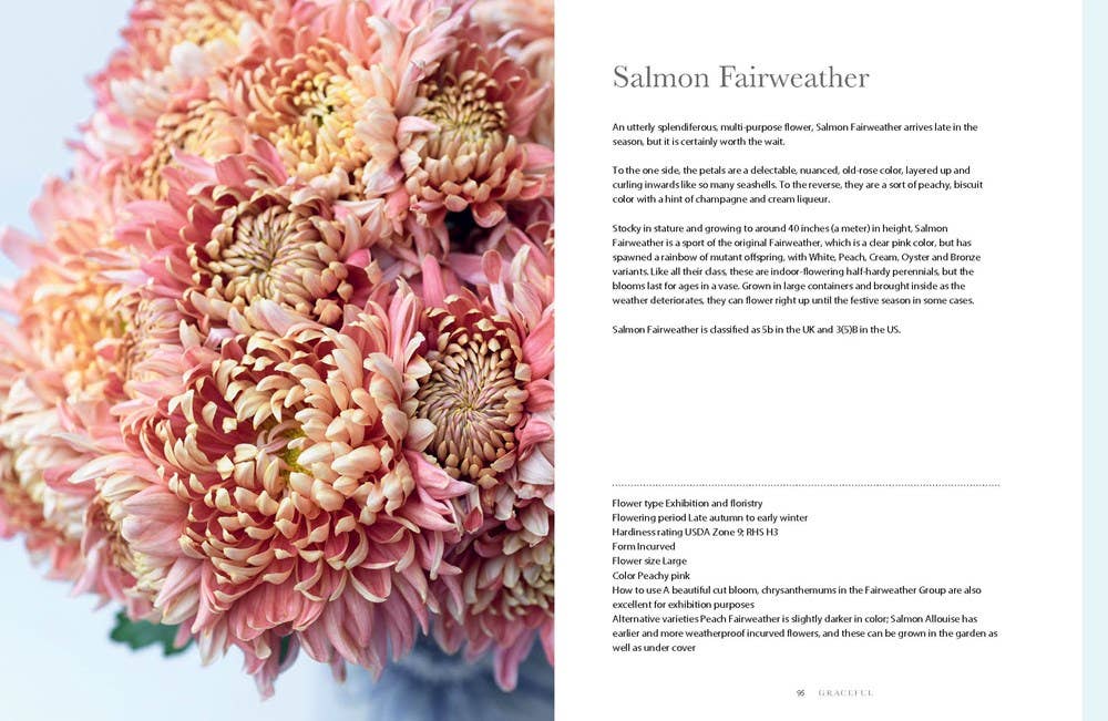 Chrysanthemums : Beautiful Varieties for Home and Garden Book