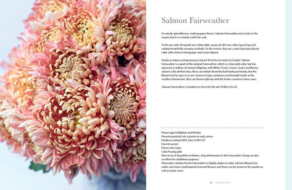 Chrysanthemums : Beautiful Varieties for Home and Garden Book