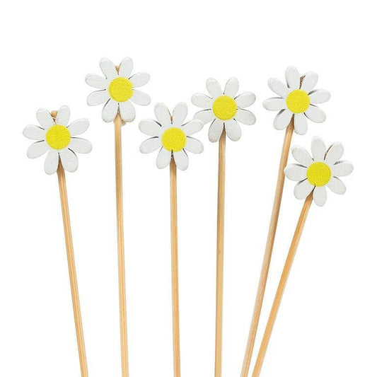 White Daisy Picks