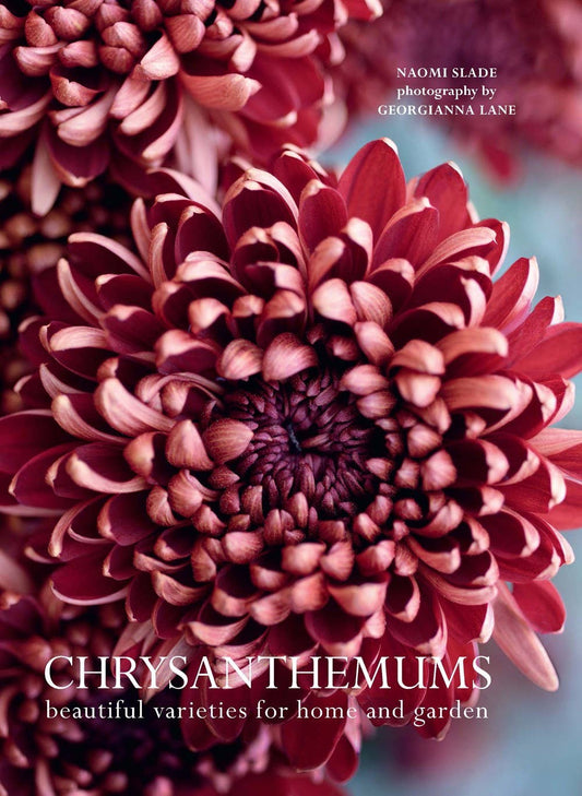 Chrysanthemums : Beautiful Varieties for Home and Garden Book