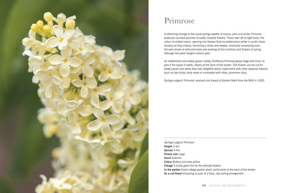 Lilacs: Beautiful Varieties for Home & Garden Book