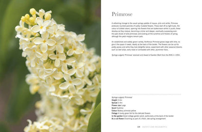 Lilacs: Beautiful Varieties for Home & Garden Book