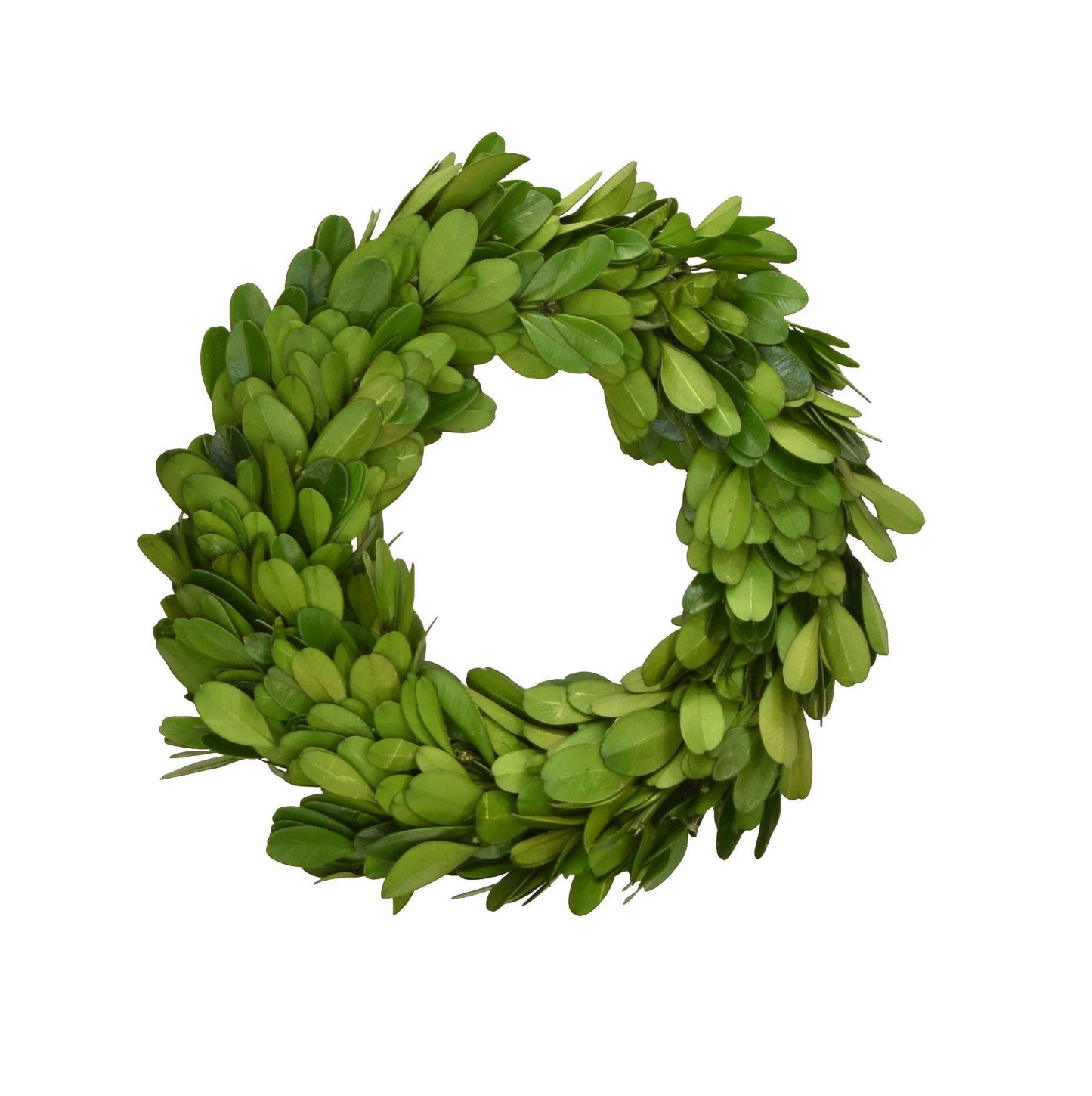 Preserved Boxwood Candle Ring or Wreath
