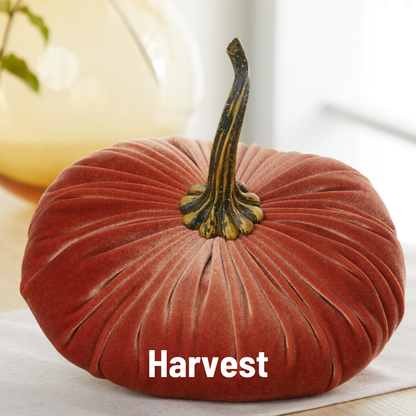 Pumpkin Extra Large Velvet, Fall Accent, Thoughtful Gift: Olive