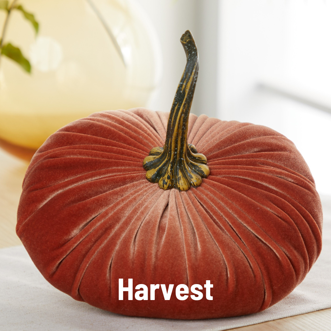 Pumpkin Extra Large Velvet, Fall Accent, Thoughtful Gift: Taupe