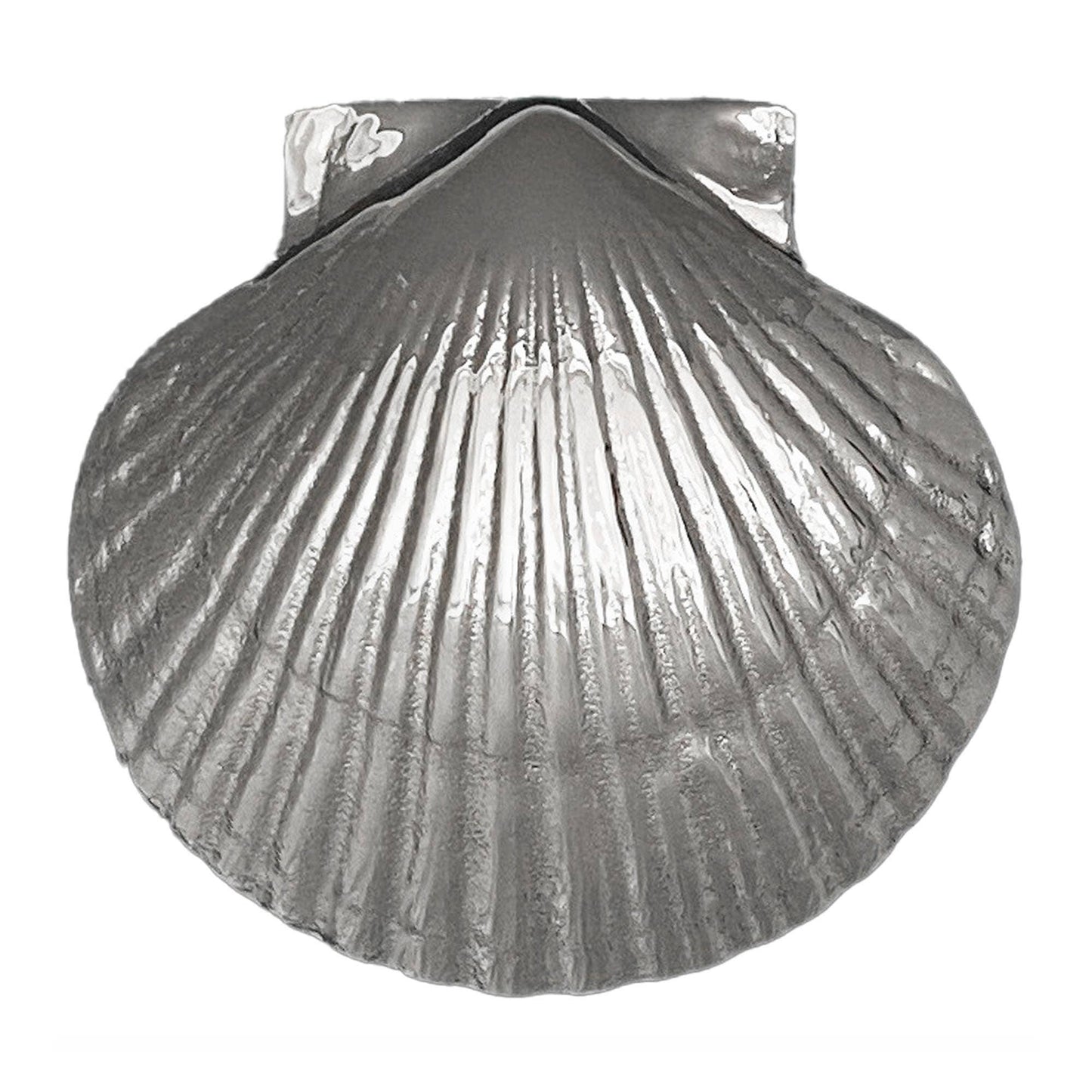 Scallop Door Knocker: Brass / 3.75H x 4W