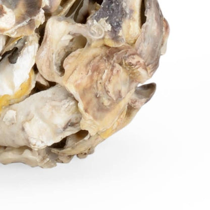 Oyster Shell Candleholder (Pr)