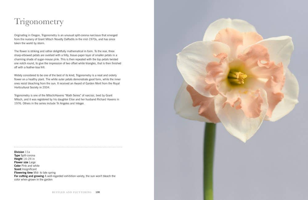 Daffodils: Beautiful Varieties for Home and Garden Book