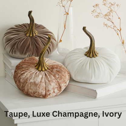 Pumpkin Small Velvet, Valentine's mantel, Autumn table, Gift: Teal